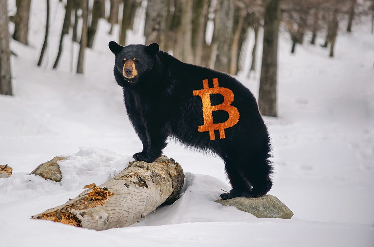 bitcoin bear