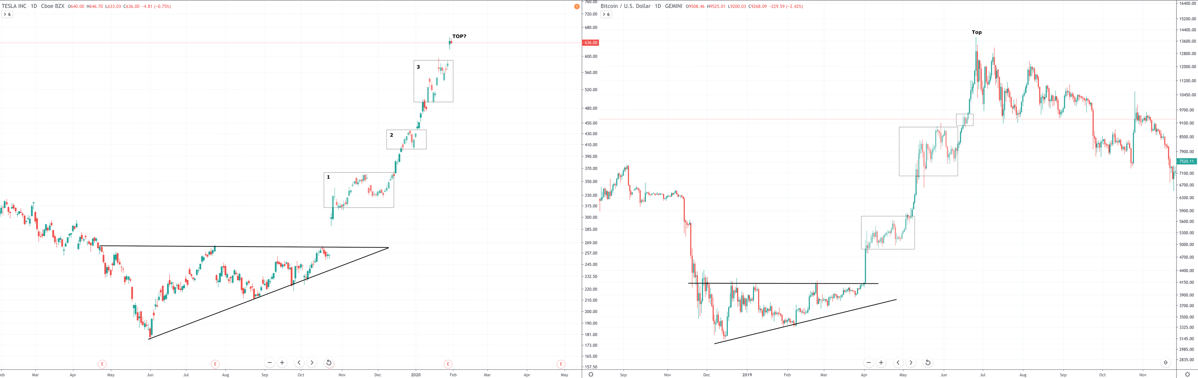 tesla bitcoin comparison chart