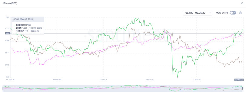 Bitcoin's Holder Distribution. 