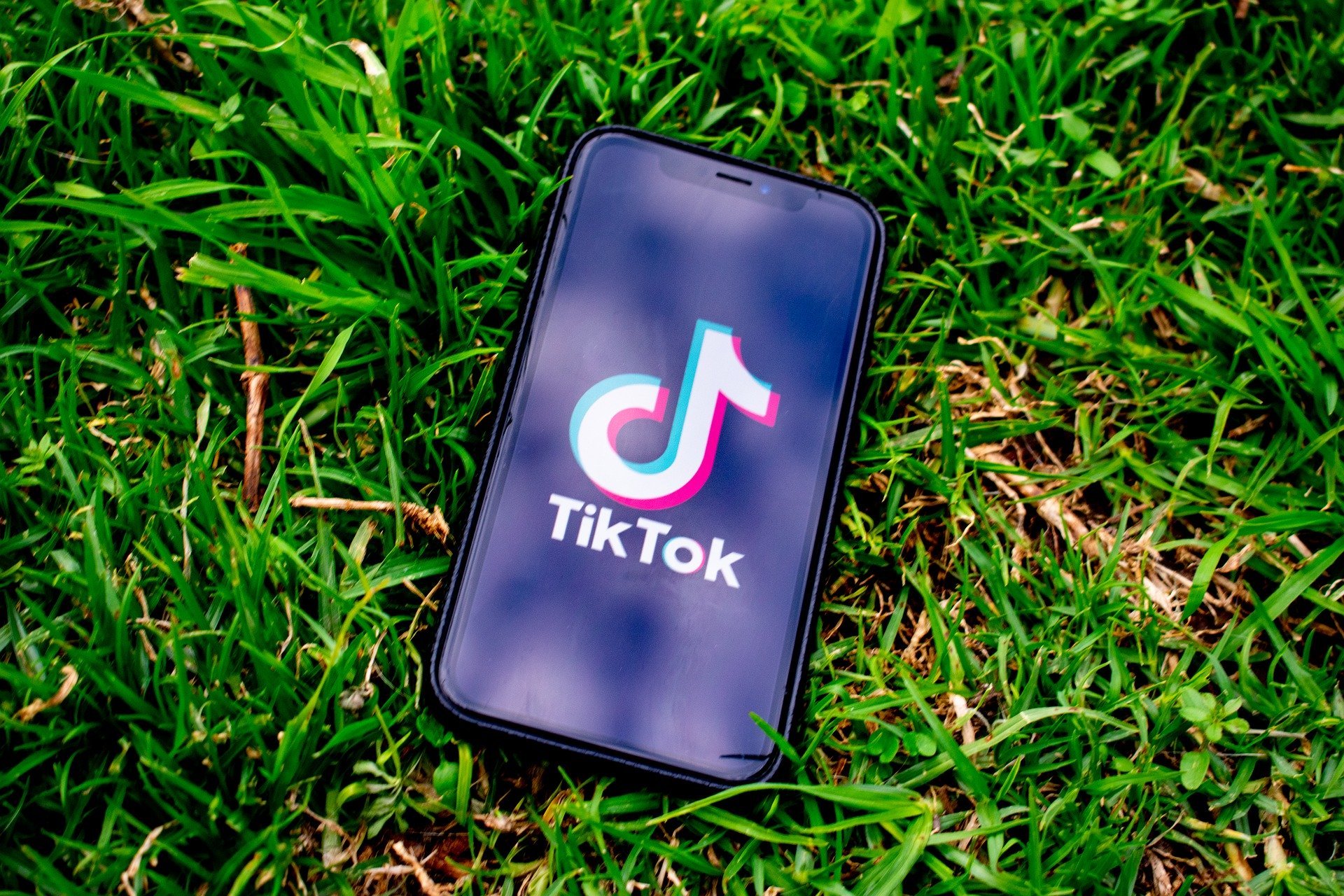 crypto dogecoin tiktok