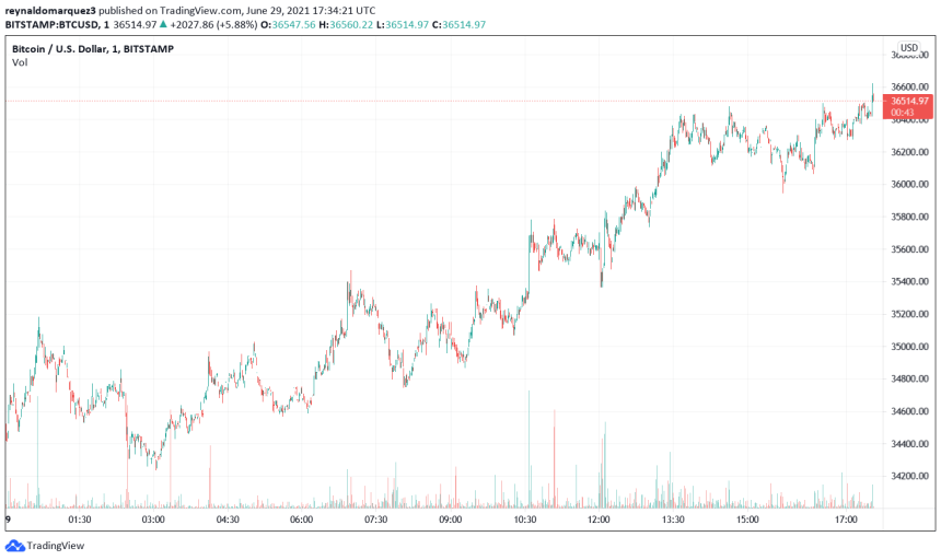 Bitcoin BTC BTCUSD