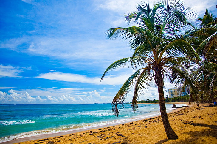 Tropical island in Puerto Rico