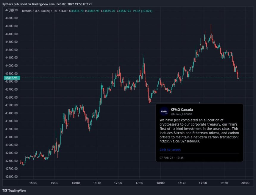 Bitcoin BTC BTCUSD