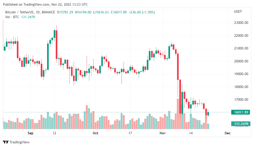 Latest Findings Show Bitcoin Holders Under Fire As The Price Continues To Sink