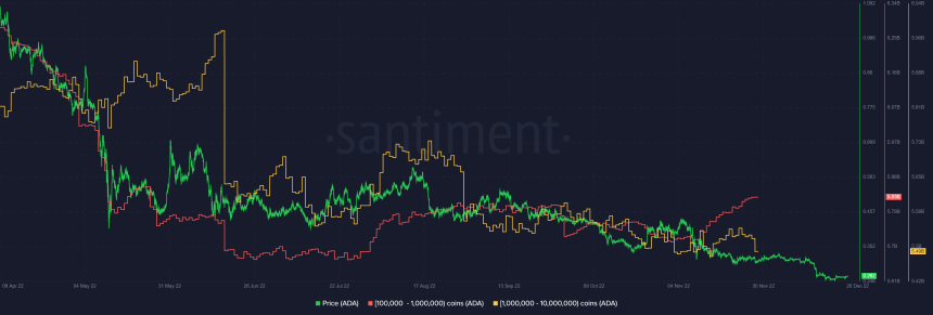 Cardano (ADA) Santiment