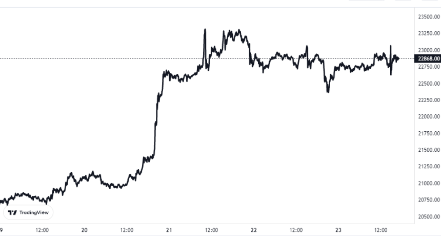 Bitcoin Price Chart