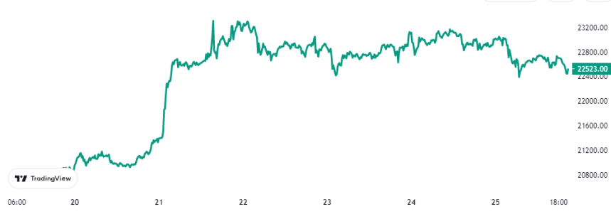 Bitcoin Price Chart