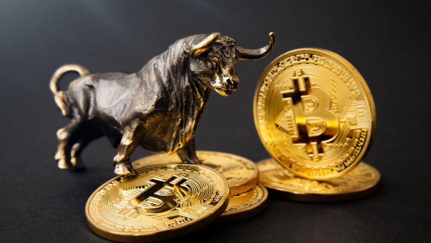 Bitcoin Bulls