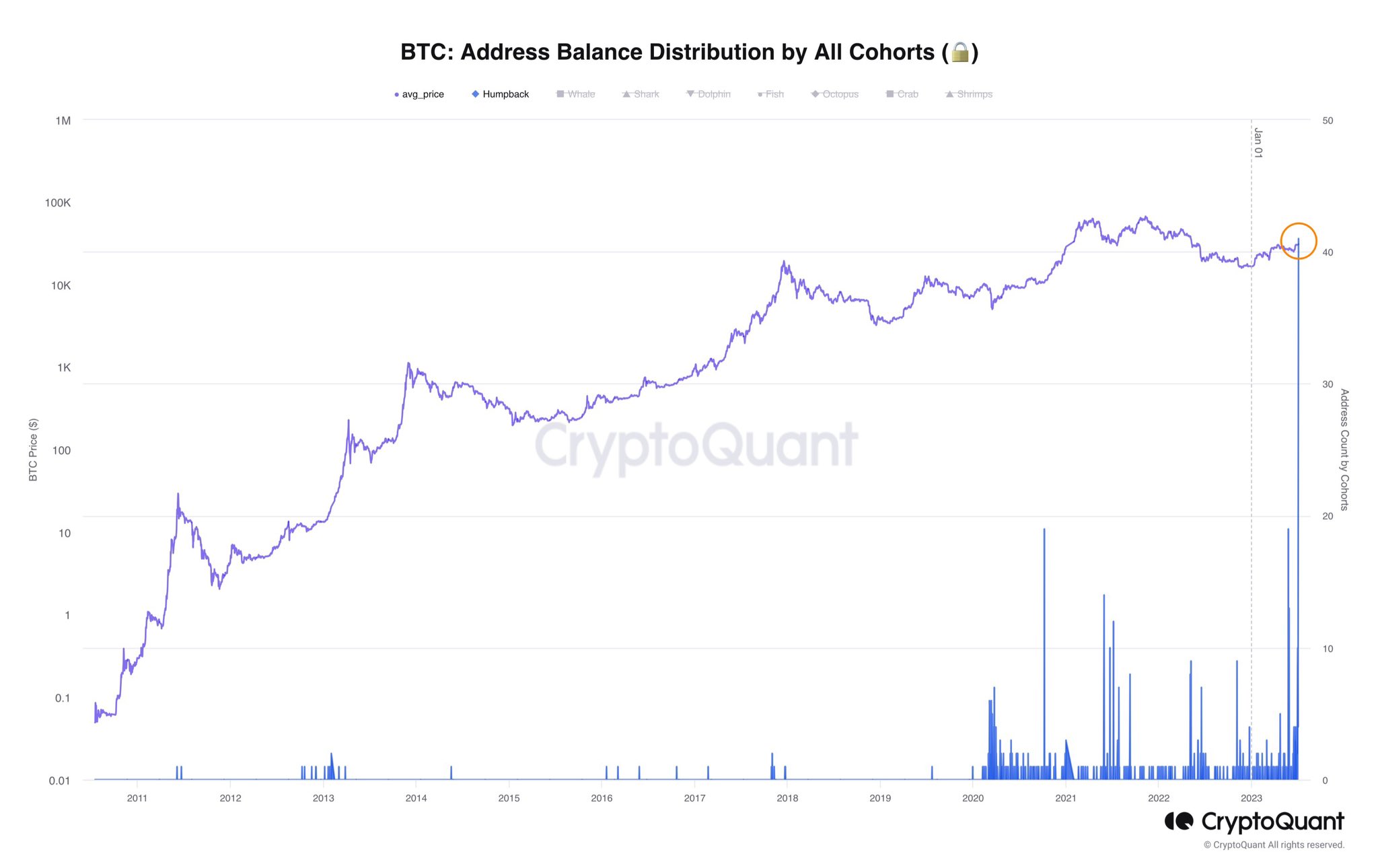 Bitcoin humpback whales