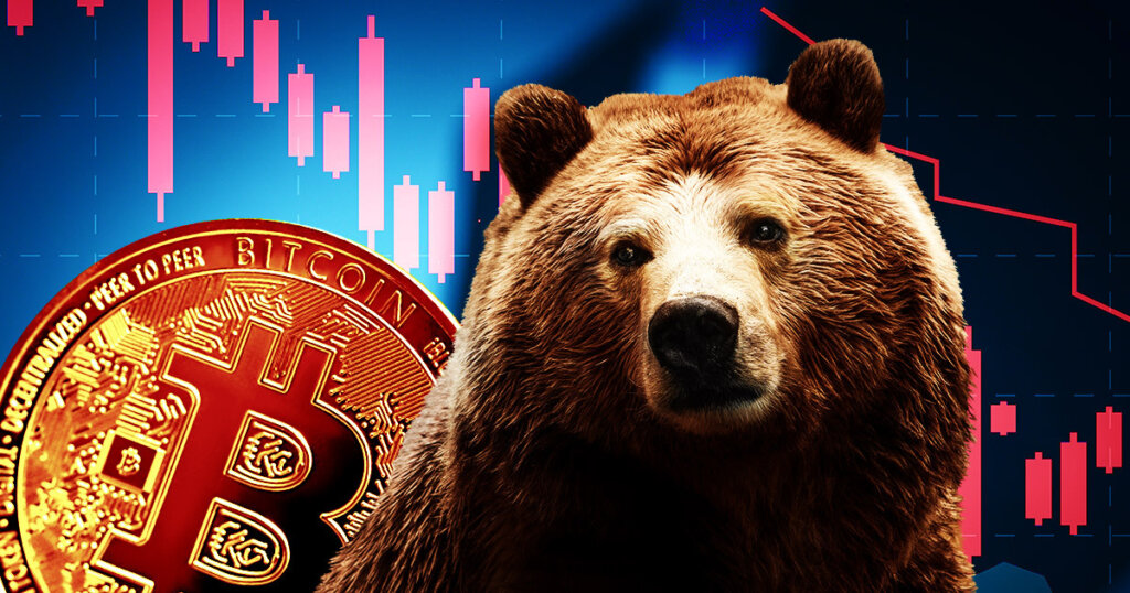 Bitcoin bear