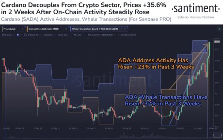 Cardano ADA