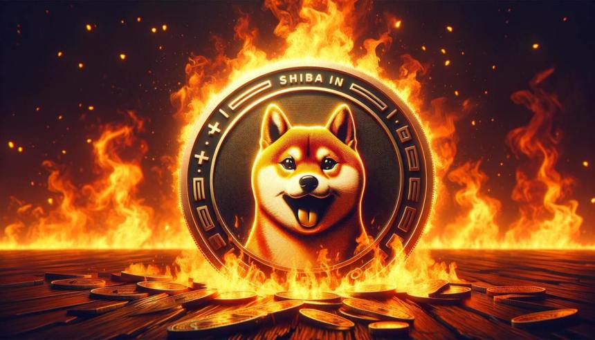 Shiba Inu SHIB burn