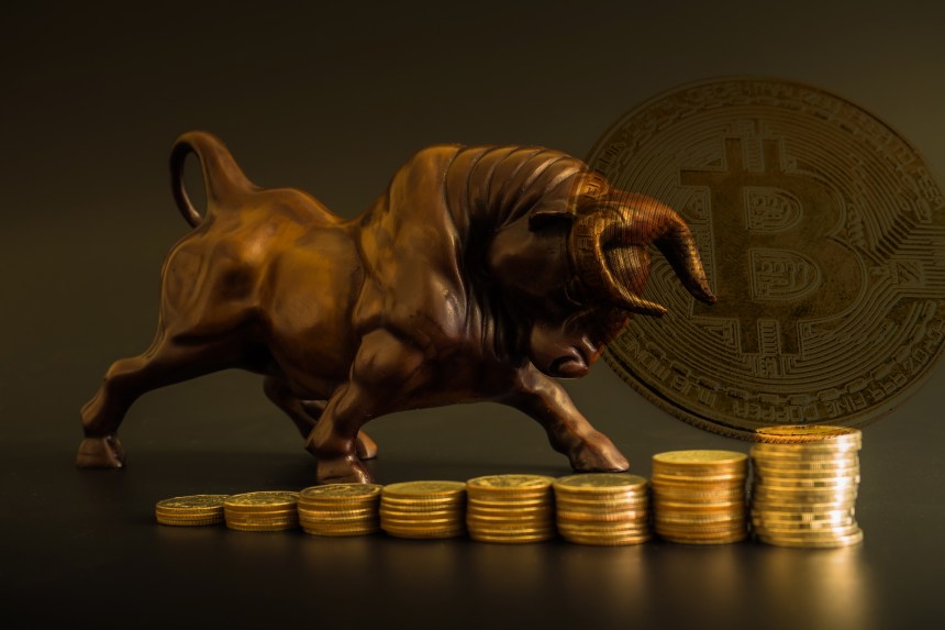 Bitcoin Bull