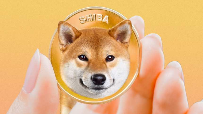 Shiba Inu