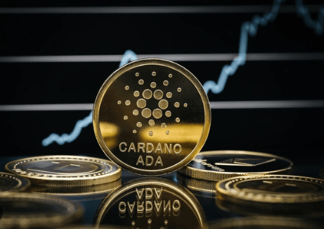 Cardano