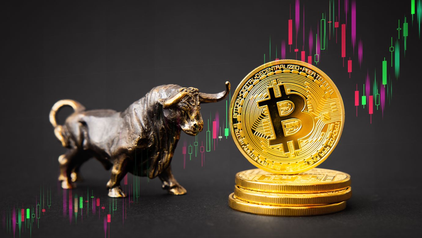 Bitcoin BTC bulls remain