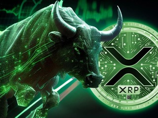 XRP price Small