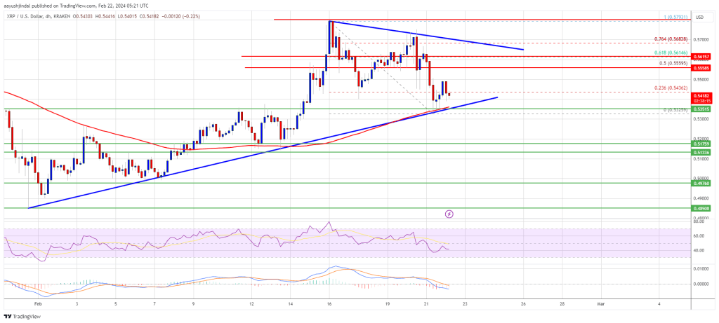 XRP Price Prediction