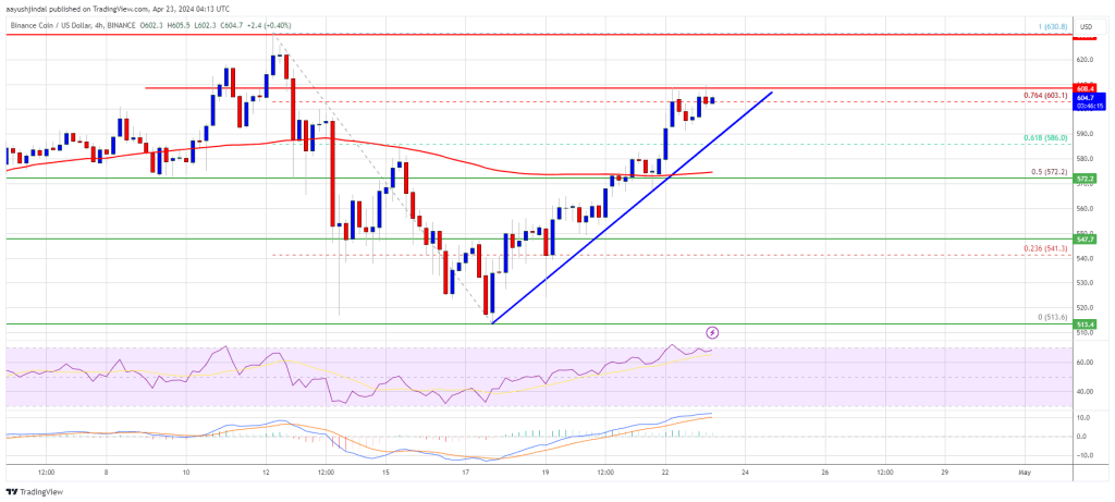 BNB Price