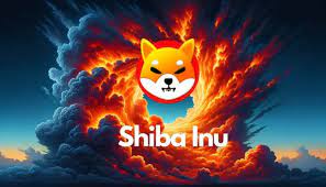 Shiba Inu