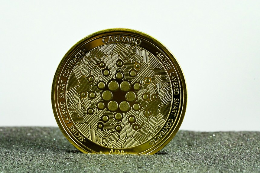 Cardano, ADA, Charles Hoskinson