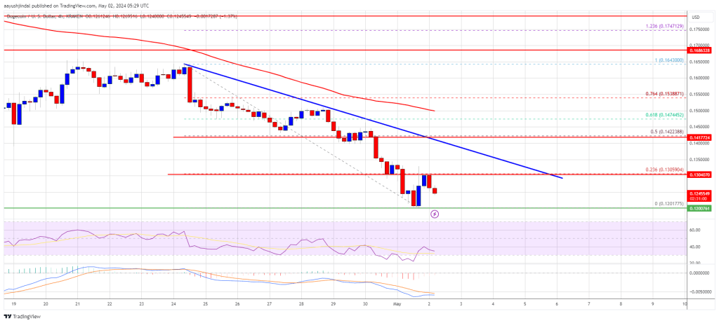 DOGE Price Prediction