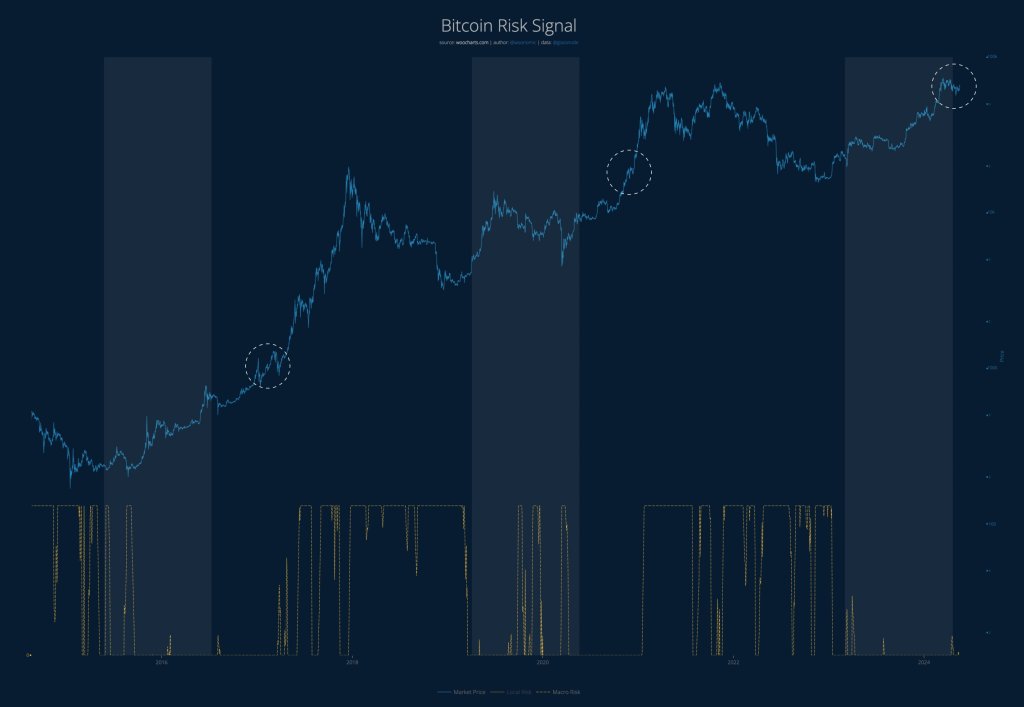 Bitcoin risk signal | Source: @woonomic on X