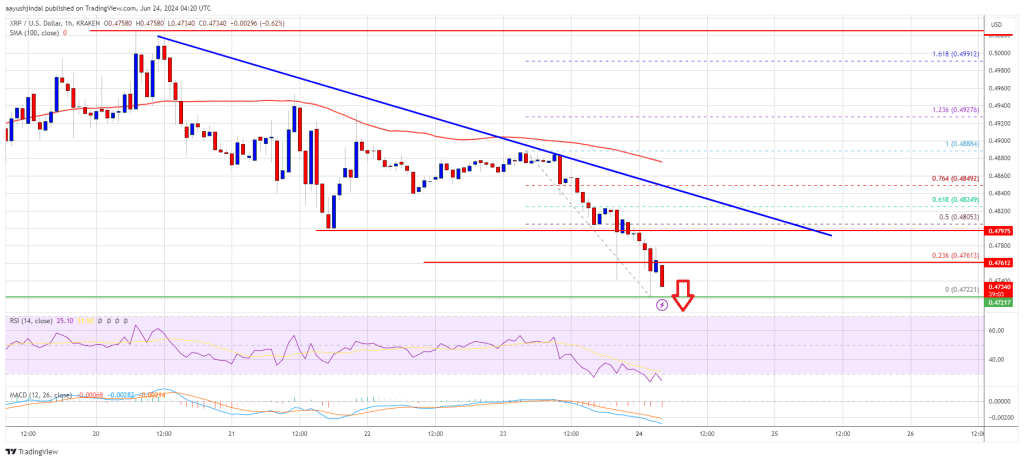 XRP Price