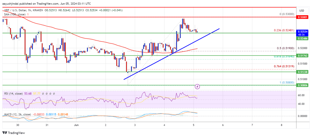 XRP Price