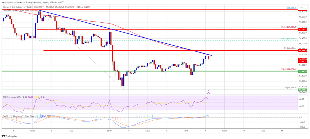 Bitcoin Price