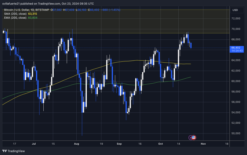 BTC probando 66.000 dólares como demanda