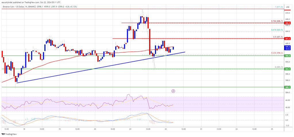 BNB Price