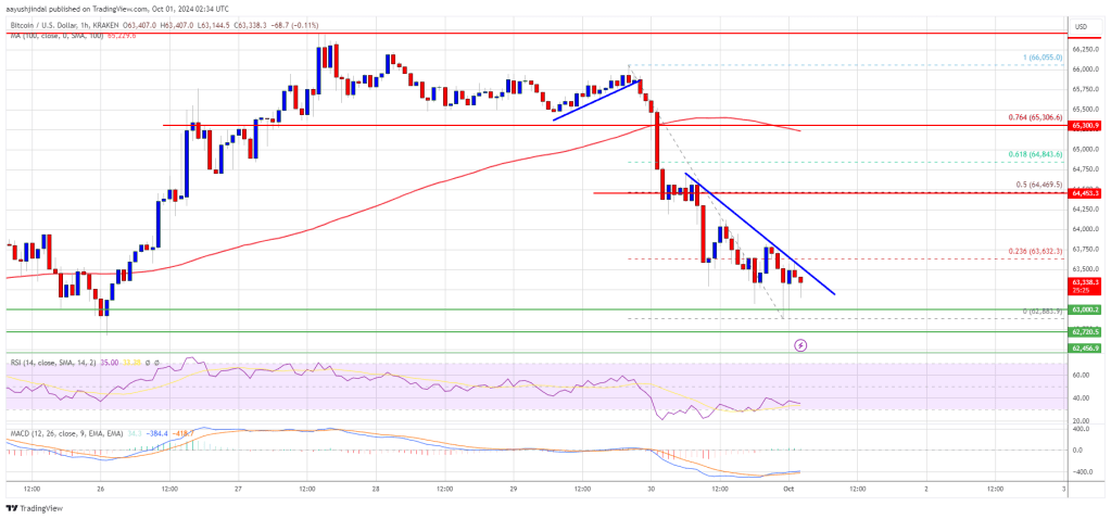 Bitcoin Price