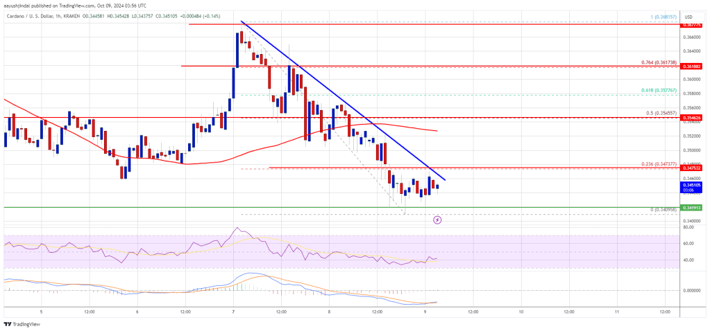 Cardano Price