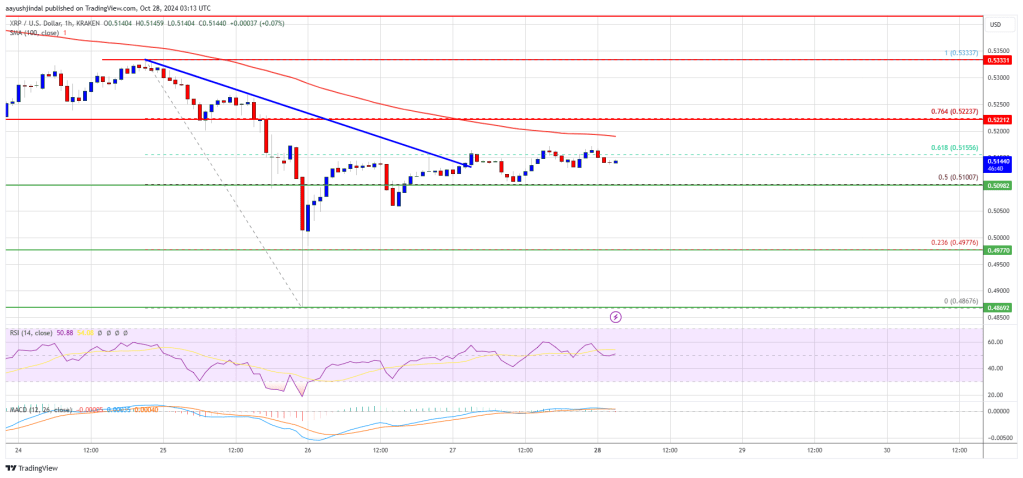 XRP Price