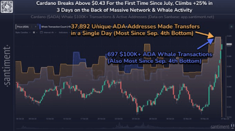 Cardano price 2