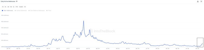 Cardano daily active addresses growing 